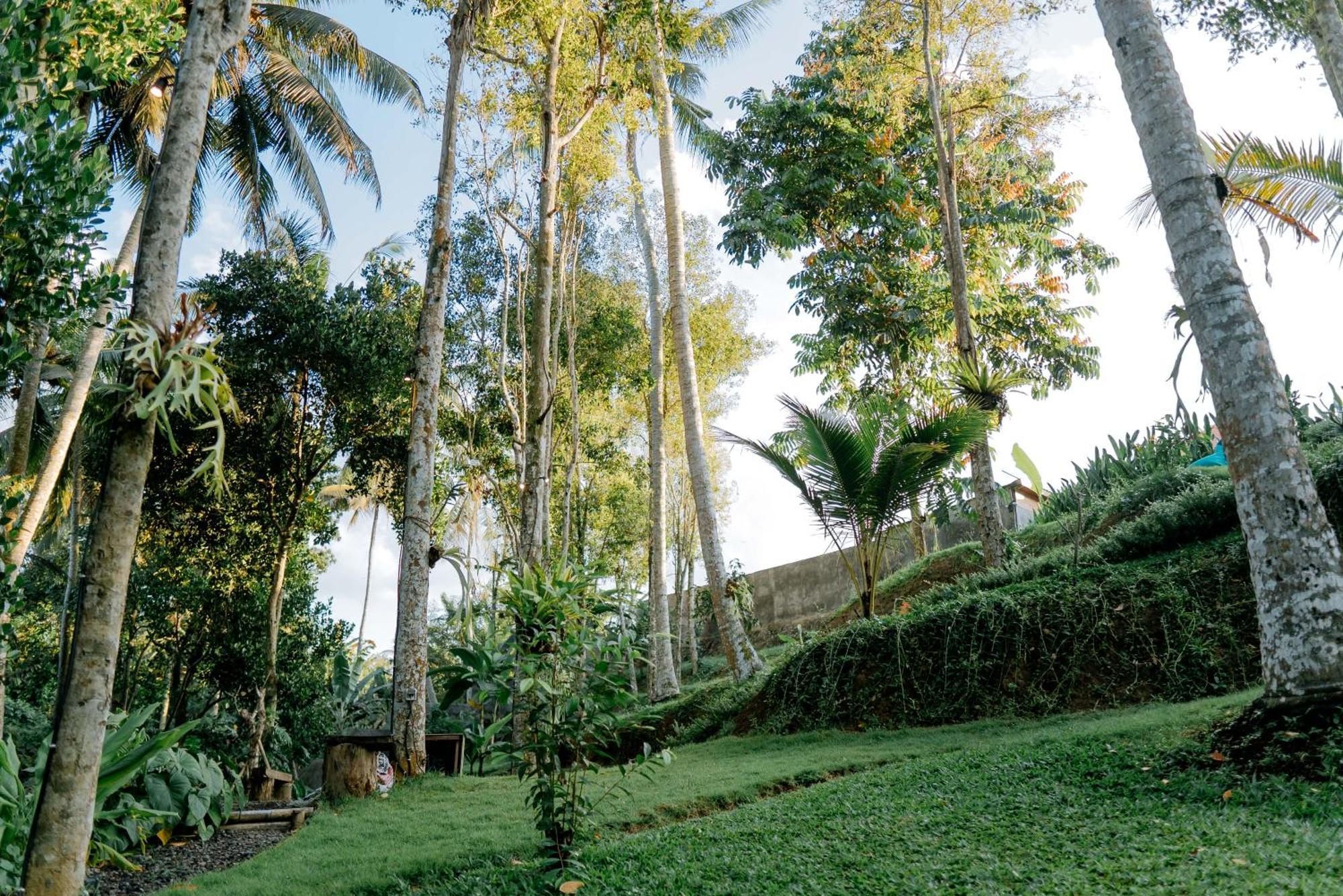 فندق Bali Made Escape بيانغان المظهر الخارجي الصورة