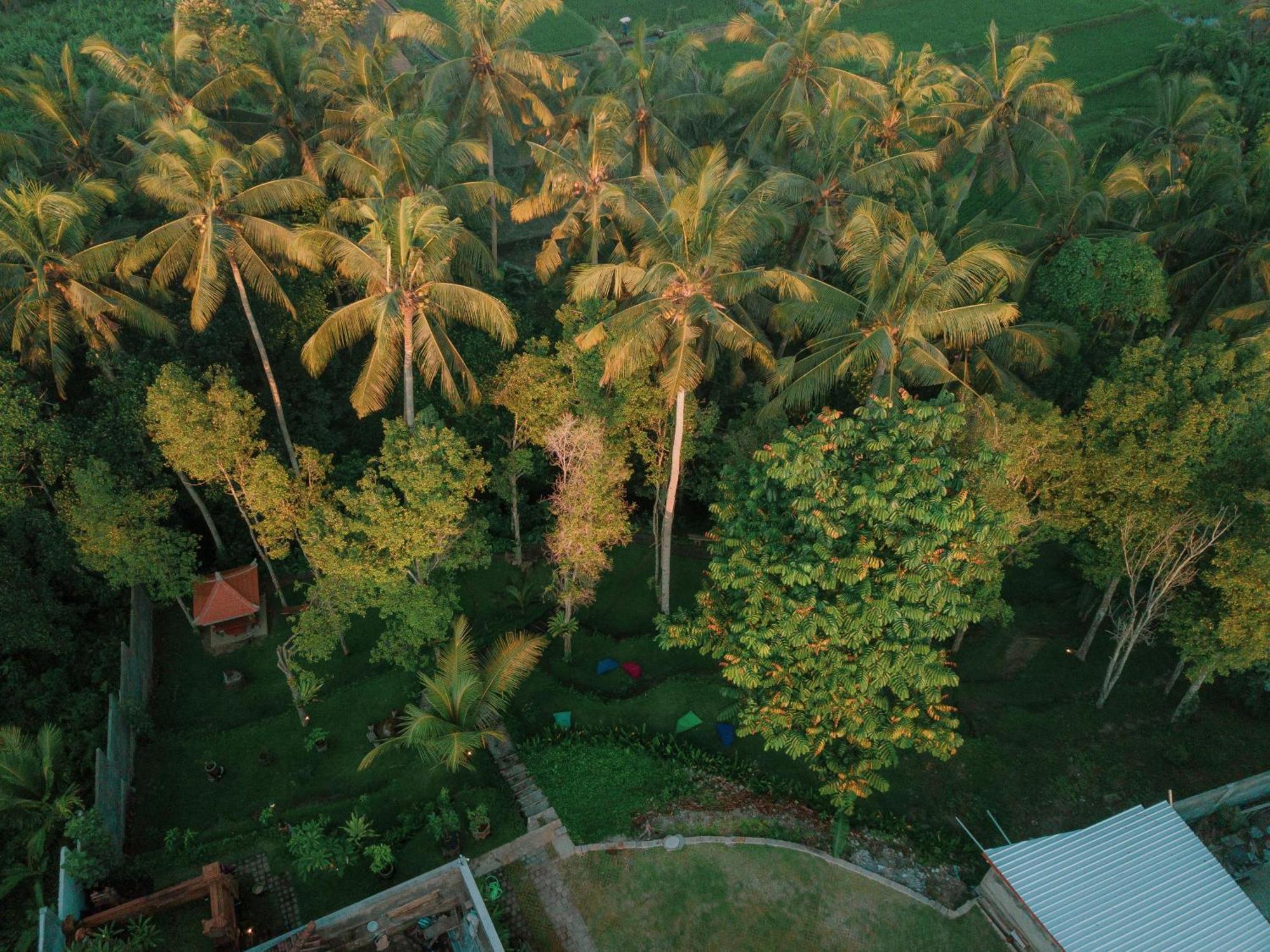 فندق Bali Made Escape بيانغان المظهر الخارجي الصورة